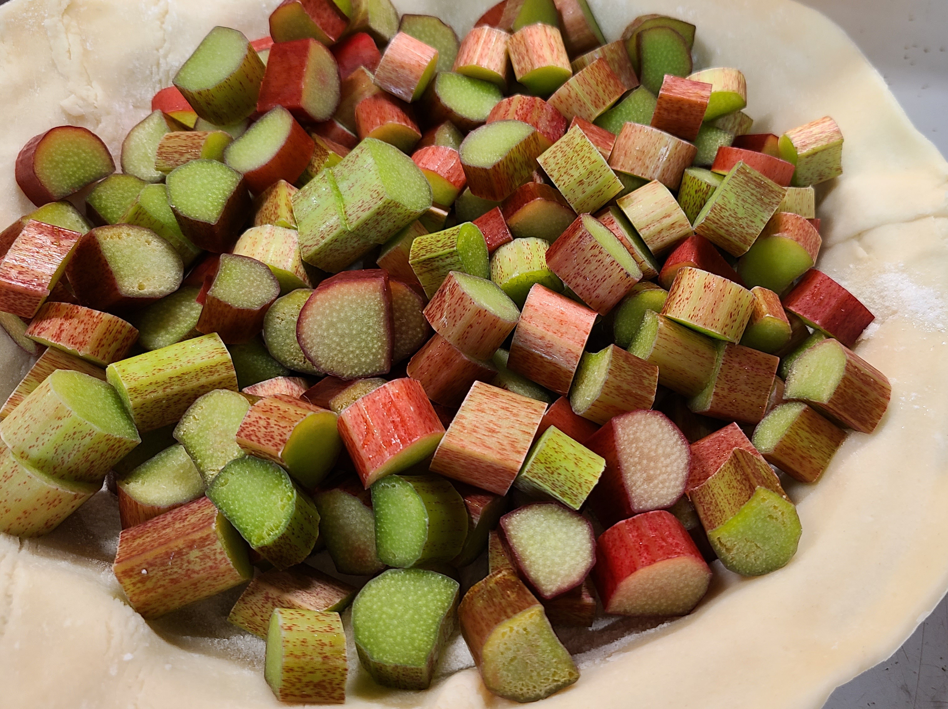 rhubarb-pie