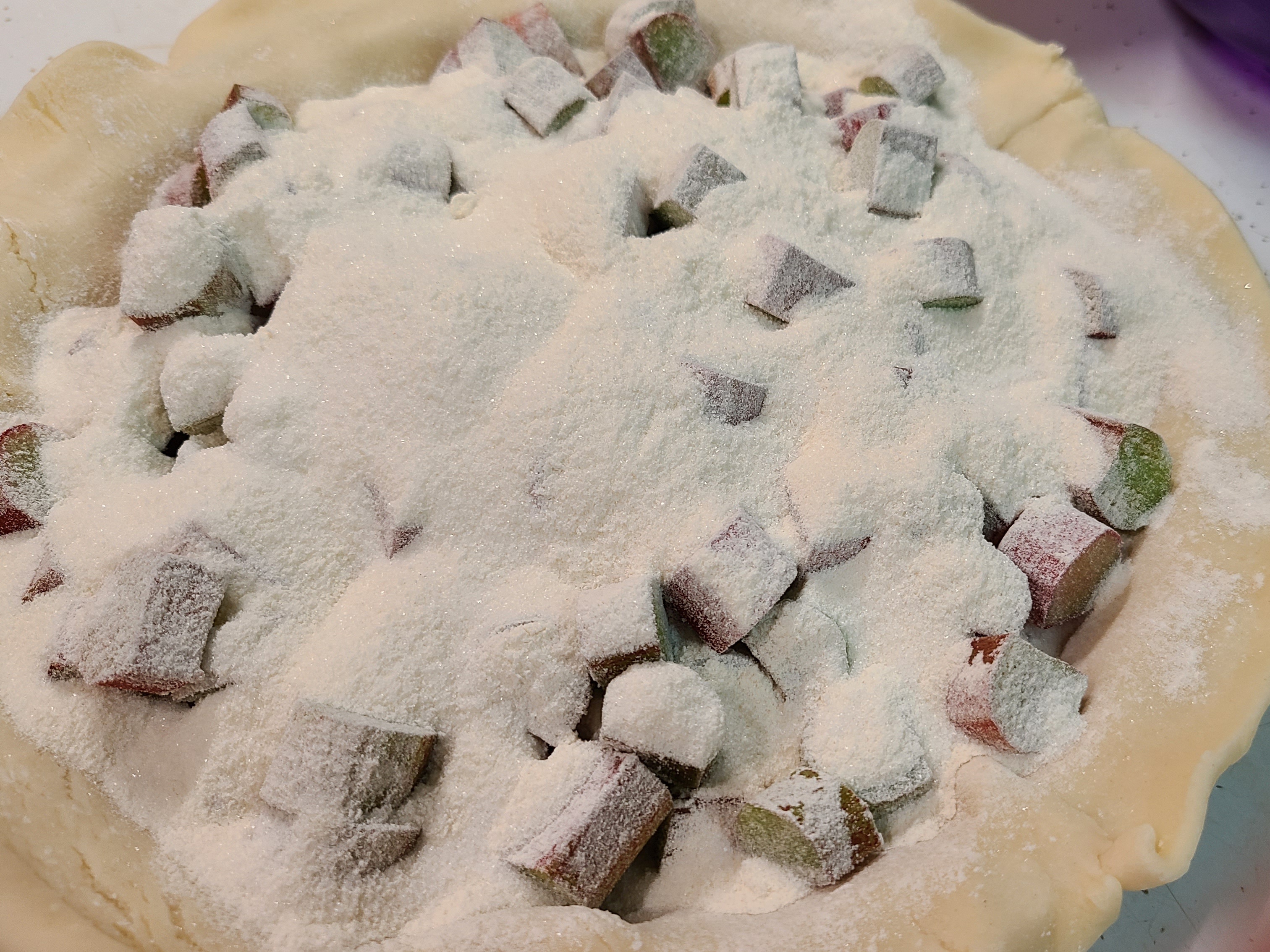 rhubarb-pie